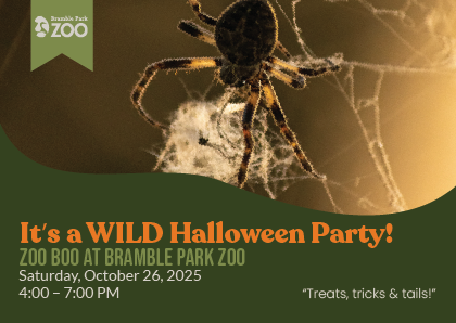 Bramble Park Zoo direct mailing front